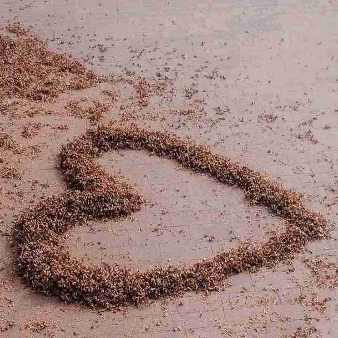  مگه چی داره آخه من ندارم قربونت برم همه دارو ندارم