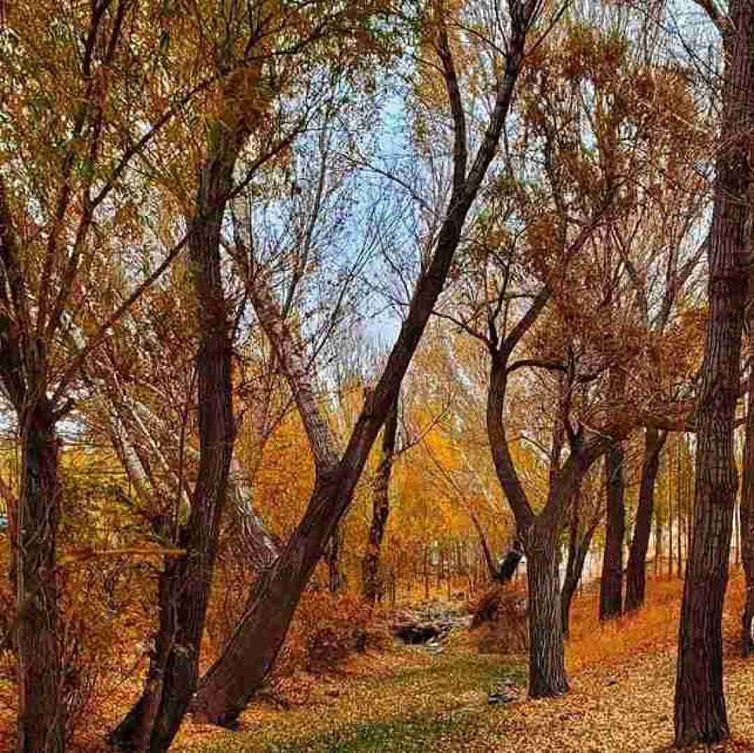  دیدمش وقتی شد تاریک یه دختر با کمر باریک