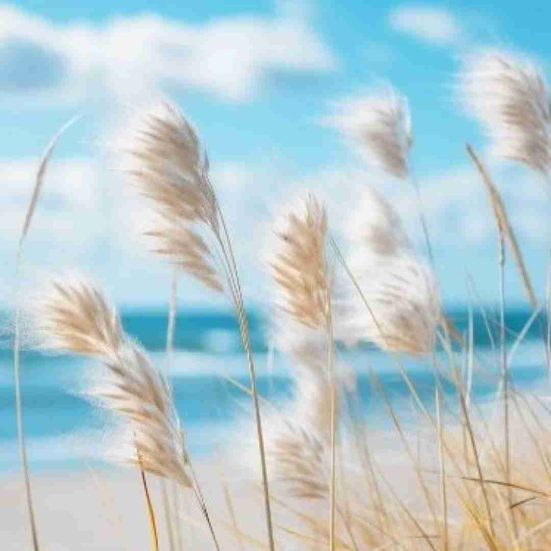 شب از خیالت در فغان روز از غمت در زاریم