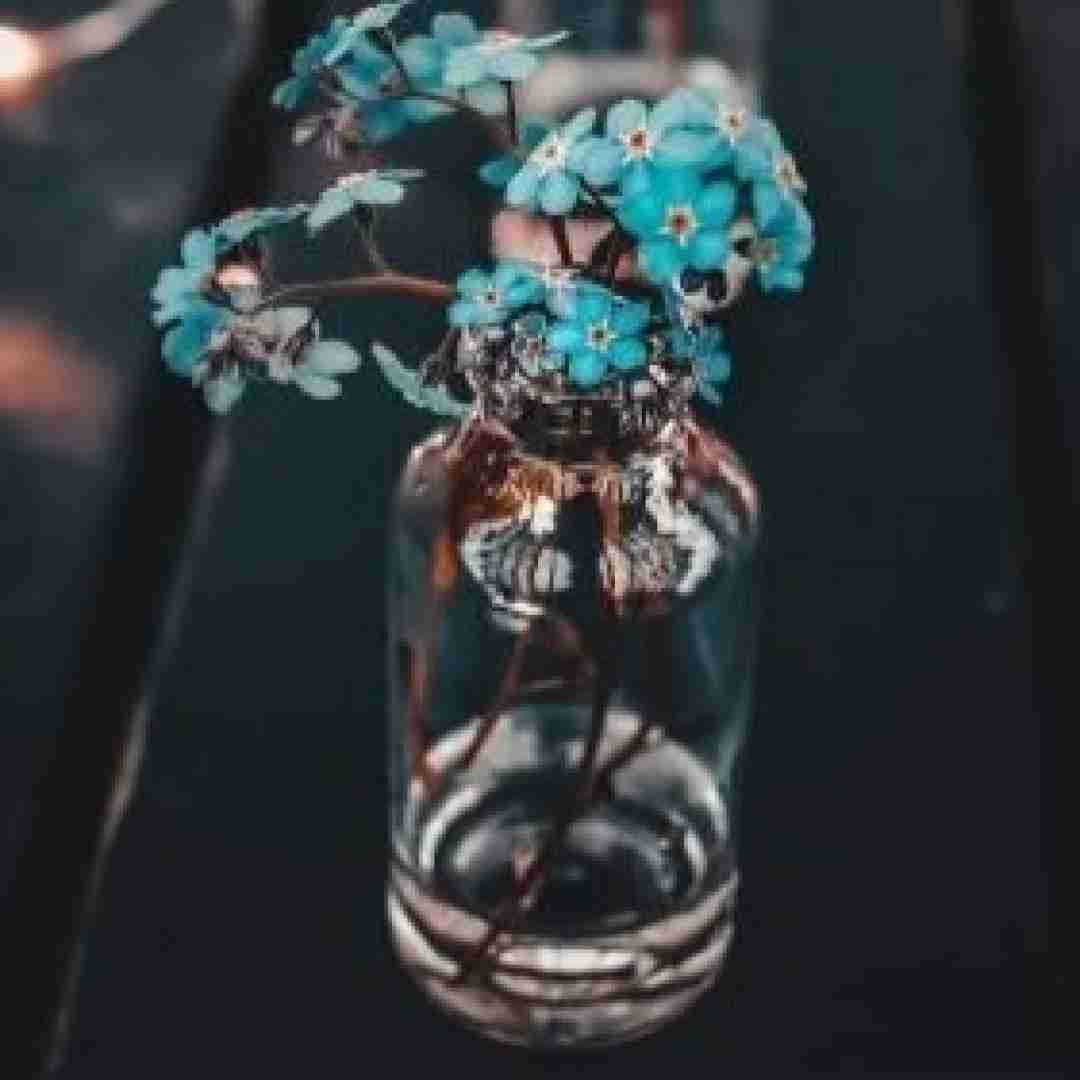 هنوزم قلبم بهت میده فرصت ولی مغزم نداره بهت میلی