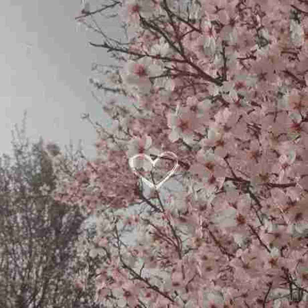 از اونور شهر اومدم الکی نخندی عوضی چرا با غصه قشنگی