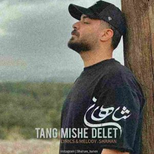 دانلود آهنگ شاهان به نام تنگ میشه دلت