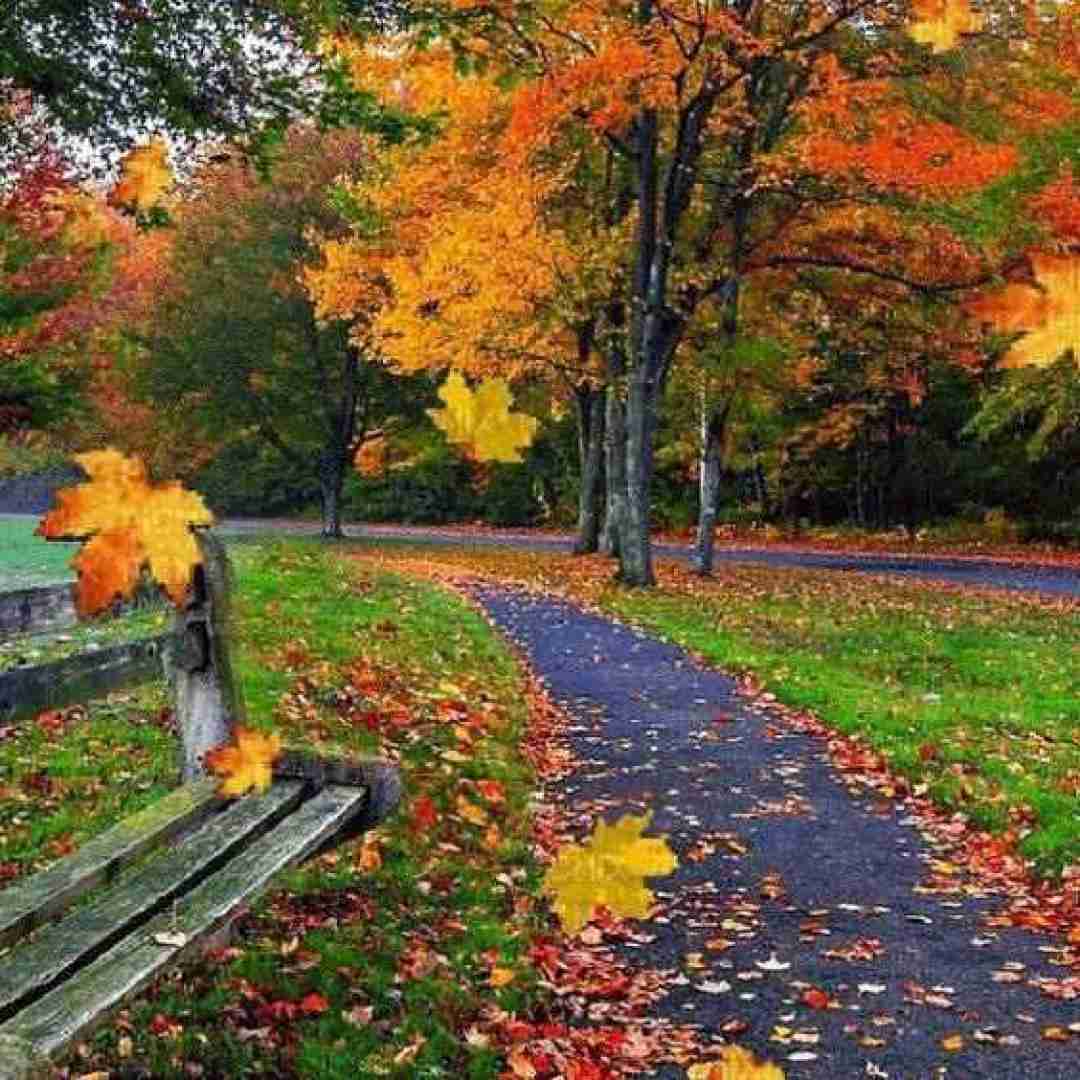  تو نیستی ولی روحت با منه دوتایی باهم کابوس میبینیم
