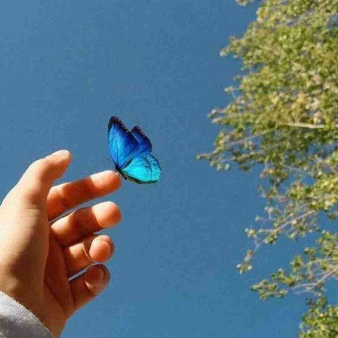 لیلا خداحافظ ولی لیلا نیل ولای دلد بچم (ترند اینستایی)