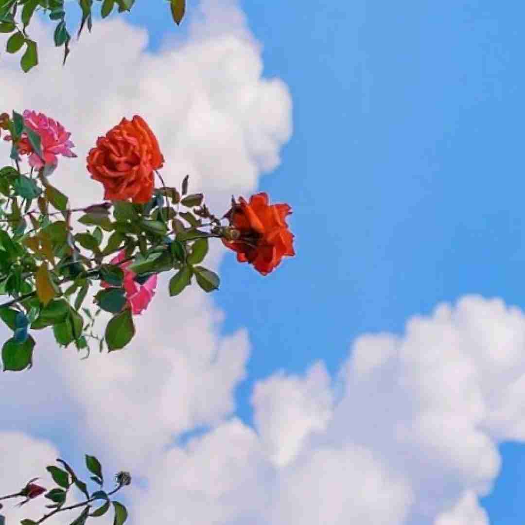  همه کردن تو شرایط بد ترکم میشم هر شب