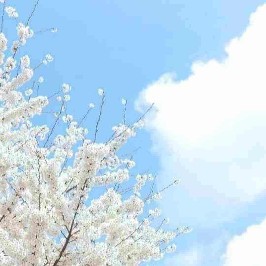  لپام به دوربینا چاله نمیدن هرروز میرسم به مو پاره نمیشم