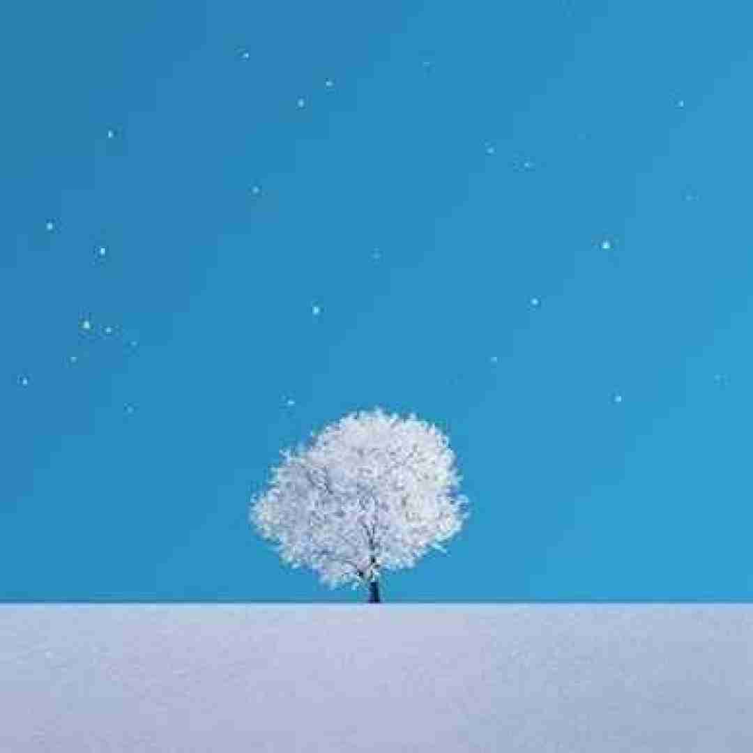نه نای موندن هست نه پای رفتن نه چیزی دیگه (ترند اینستایی)