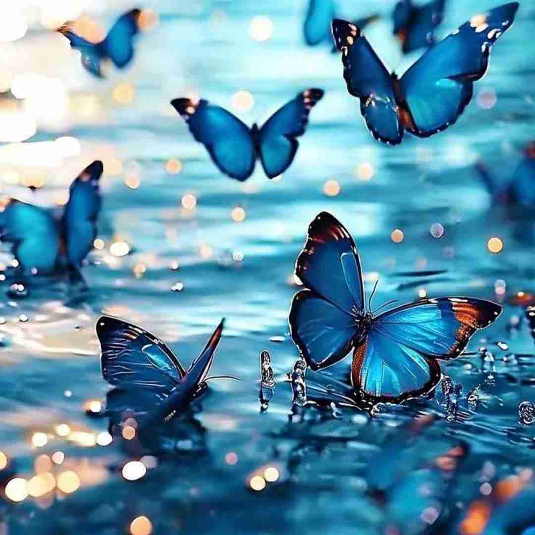 رفته رو مخم زندگی دیگه خودم واسه خودم زنده نیست
