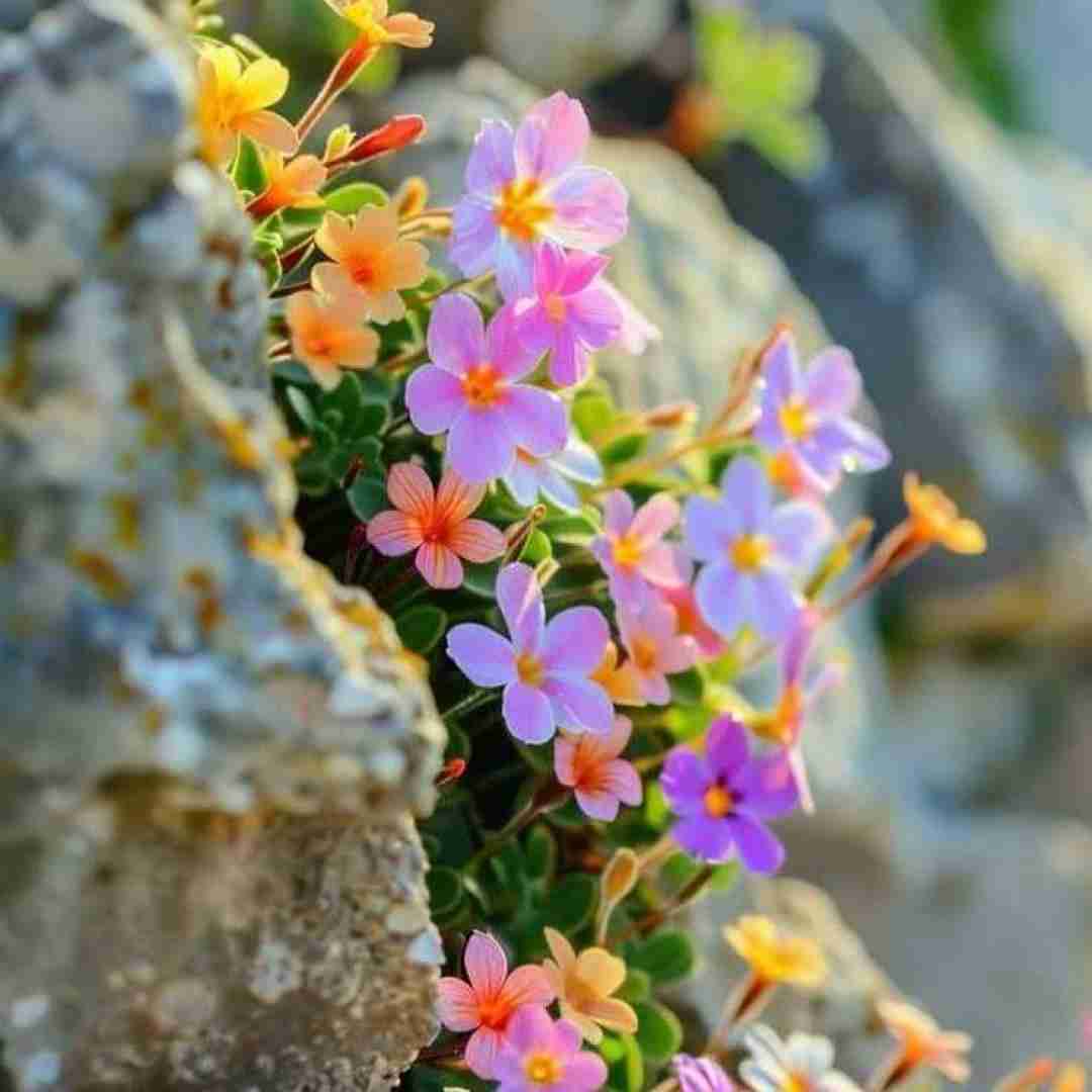  بی دلیل هی اوقاتم تلخه اخلاقم صبحا نچسبه