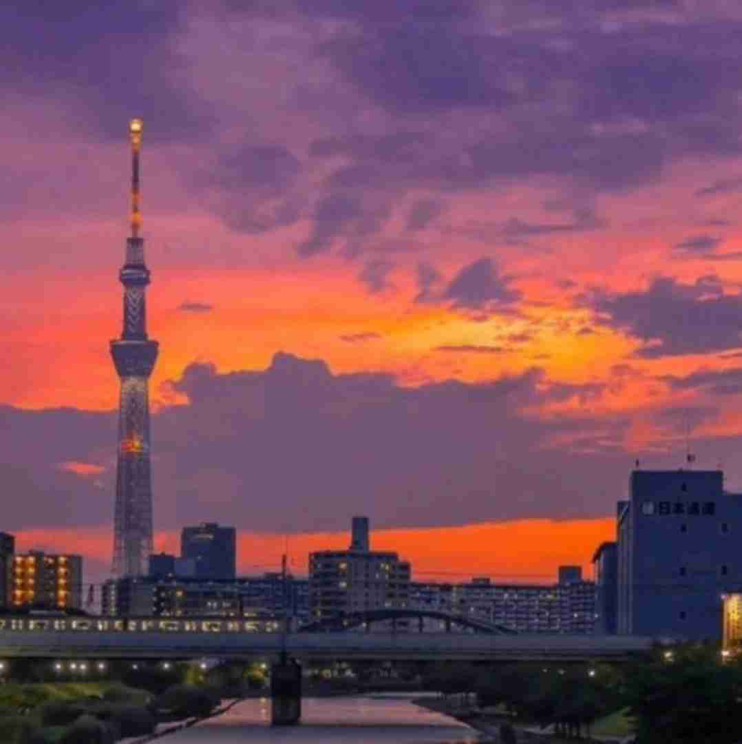  دیر فهمیدم همش دروغه دیر فهمیدم همش بهونه