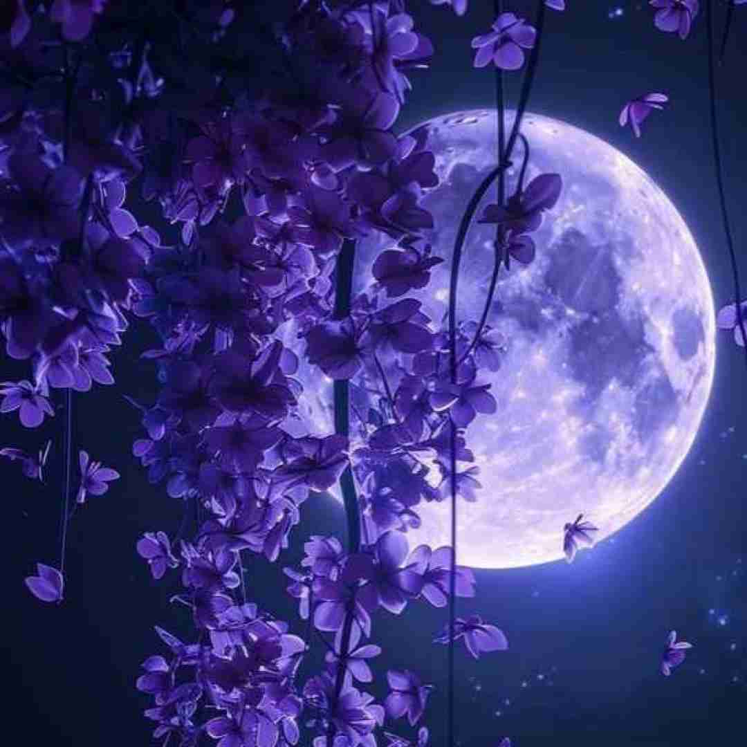 قد من نیستی با قد بلند (میکس اینستایی)