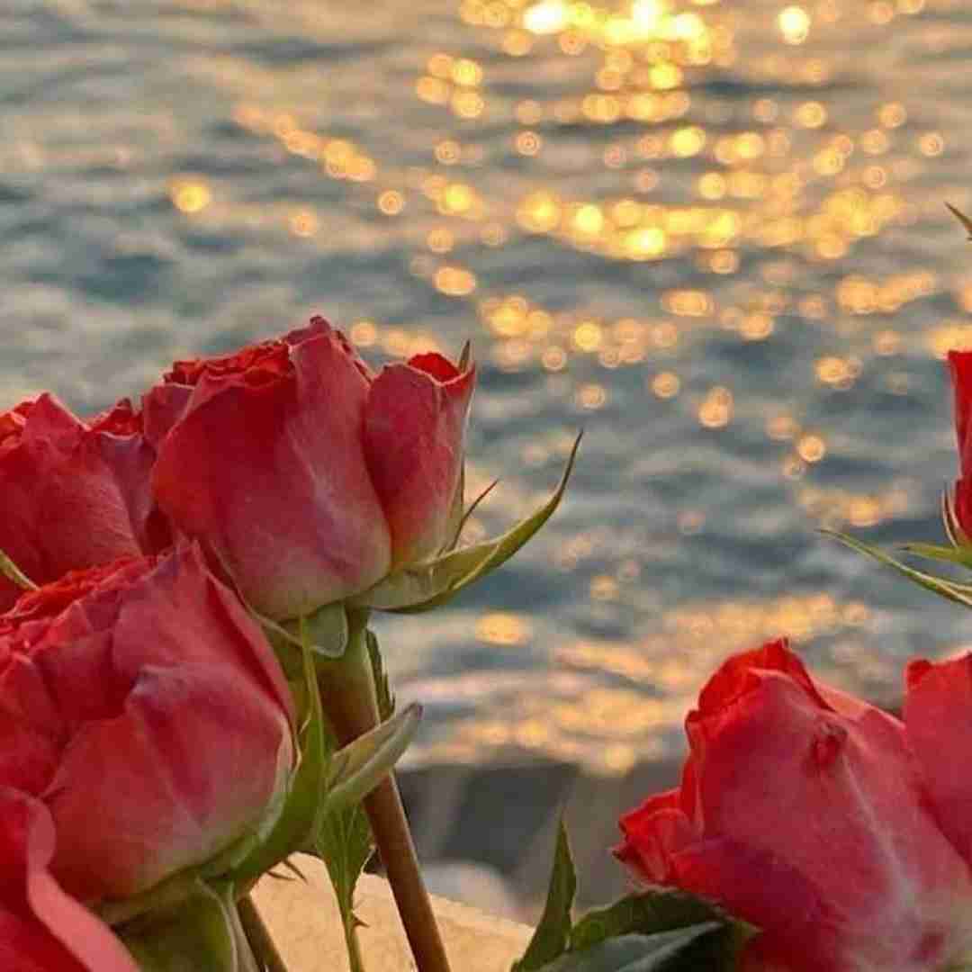 برو فقط منو بذار خونه نگاه هوا هوای بارونه (میکس اینستایی)