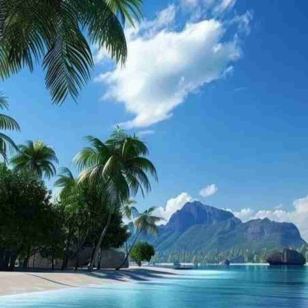 اون که رسونده به همه خودش نمیرسه منم