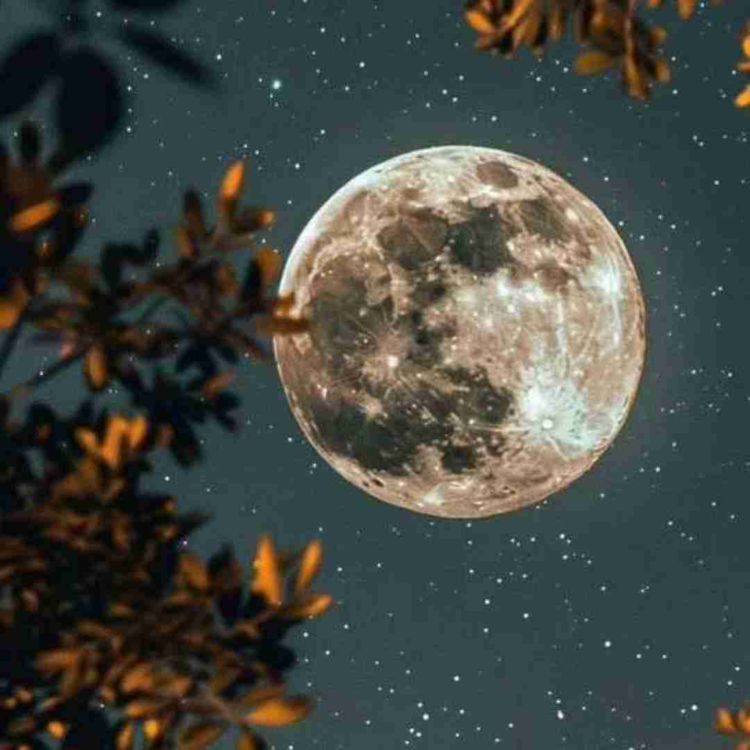  روی چشمام قدمته کلی عشق از من طلبته - هوش مصنوعی