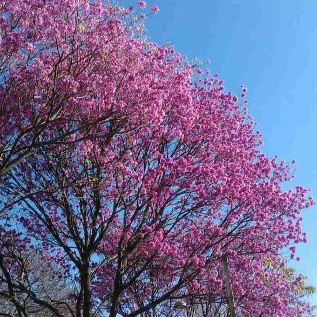 کاش تموم مسیر های بیموئن بی برگشت بیه (میکس اینستایی)