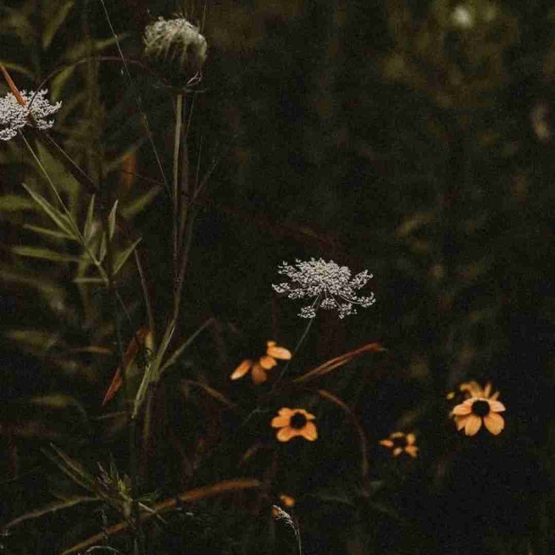 دشی حرفات قشنگ مغزمو شست بوی عطرت پیچید