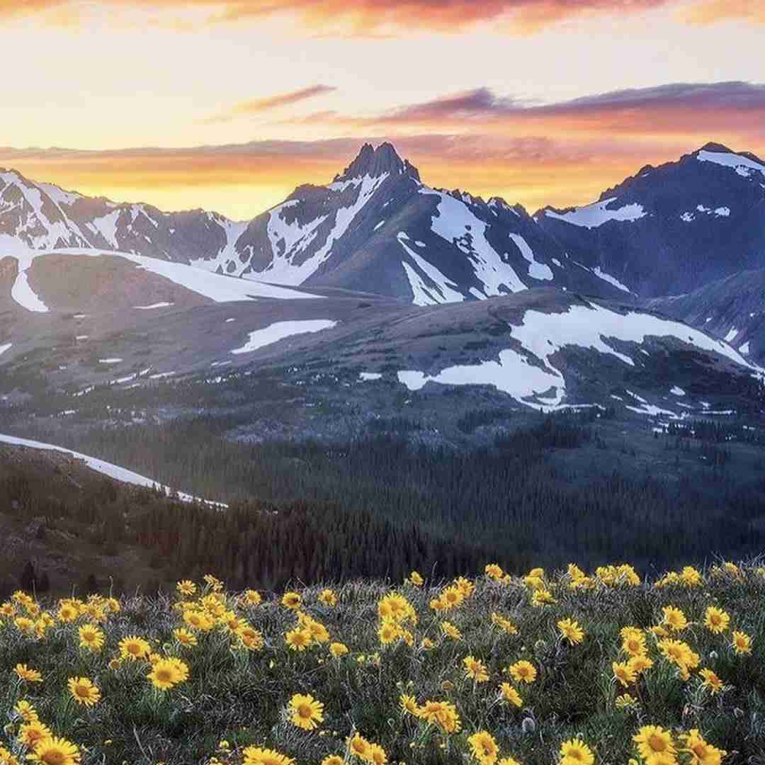  دلم تنگه حالم خراب چطور من از فکرت با صدای پسر