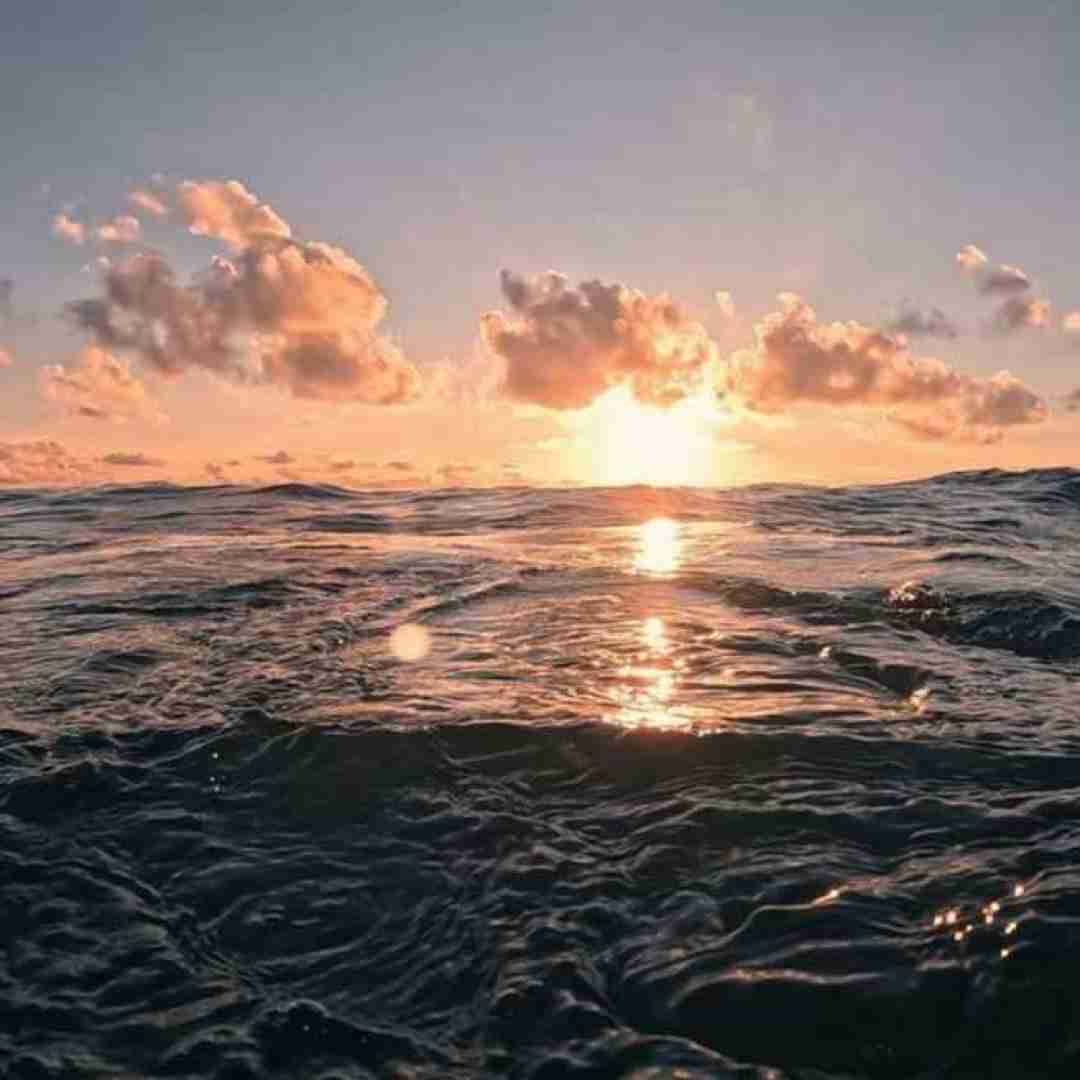 خبر رسیده بعد من با چند نفر بودی