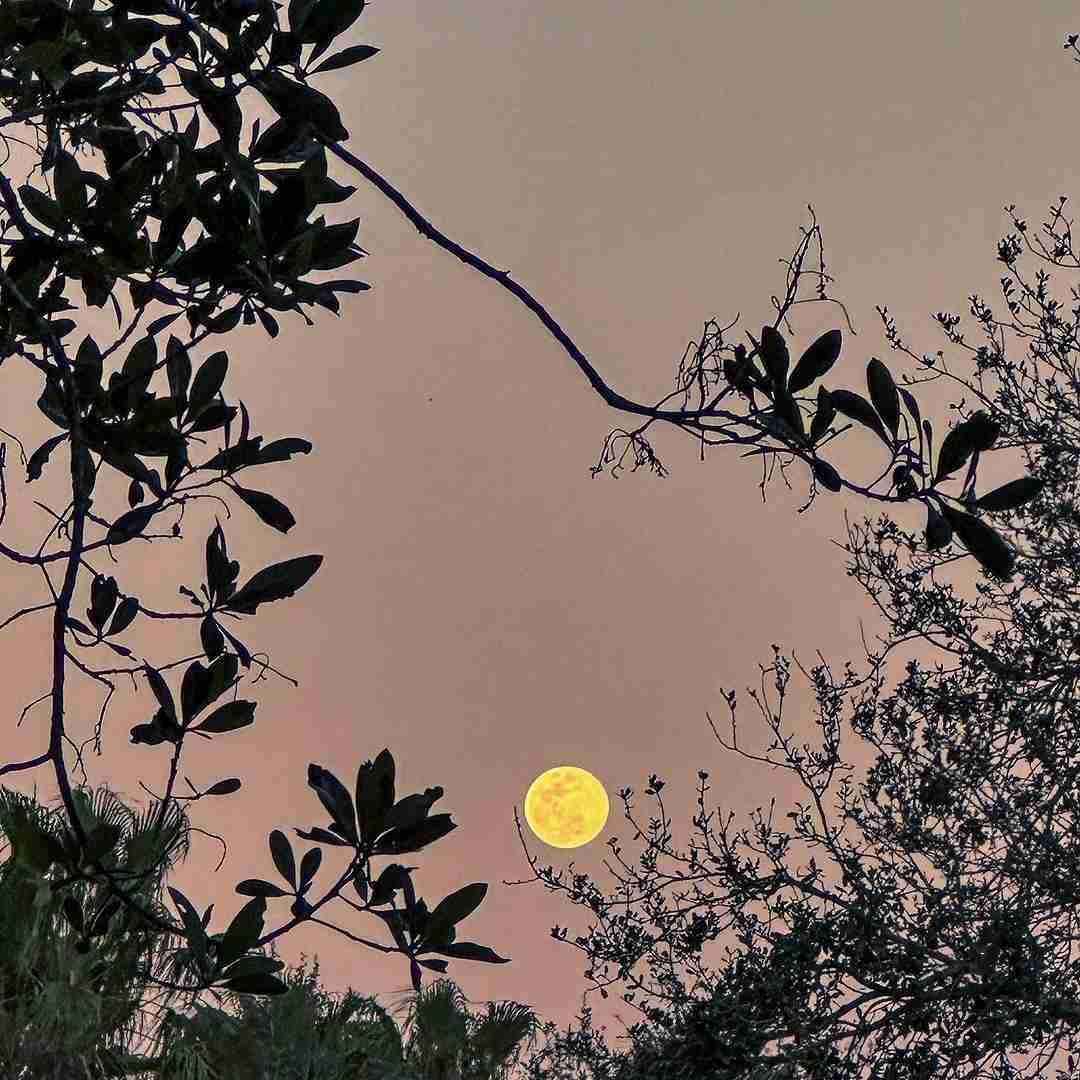  من خودمو میخوام لطفا نکن دورمو سیاه من برای