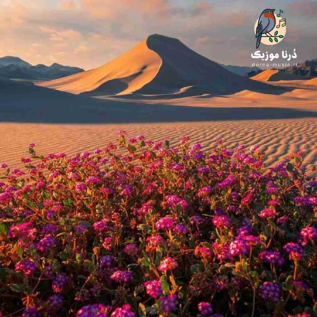 جون چه تیکه ای لامصب یه چی دیگه ای - ترند