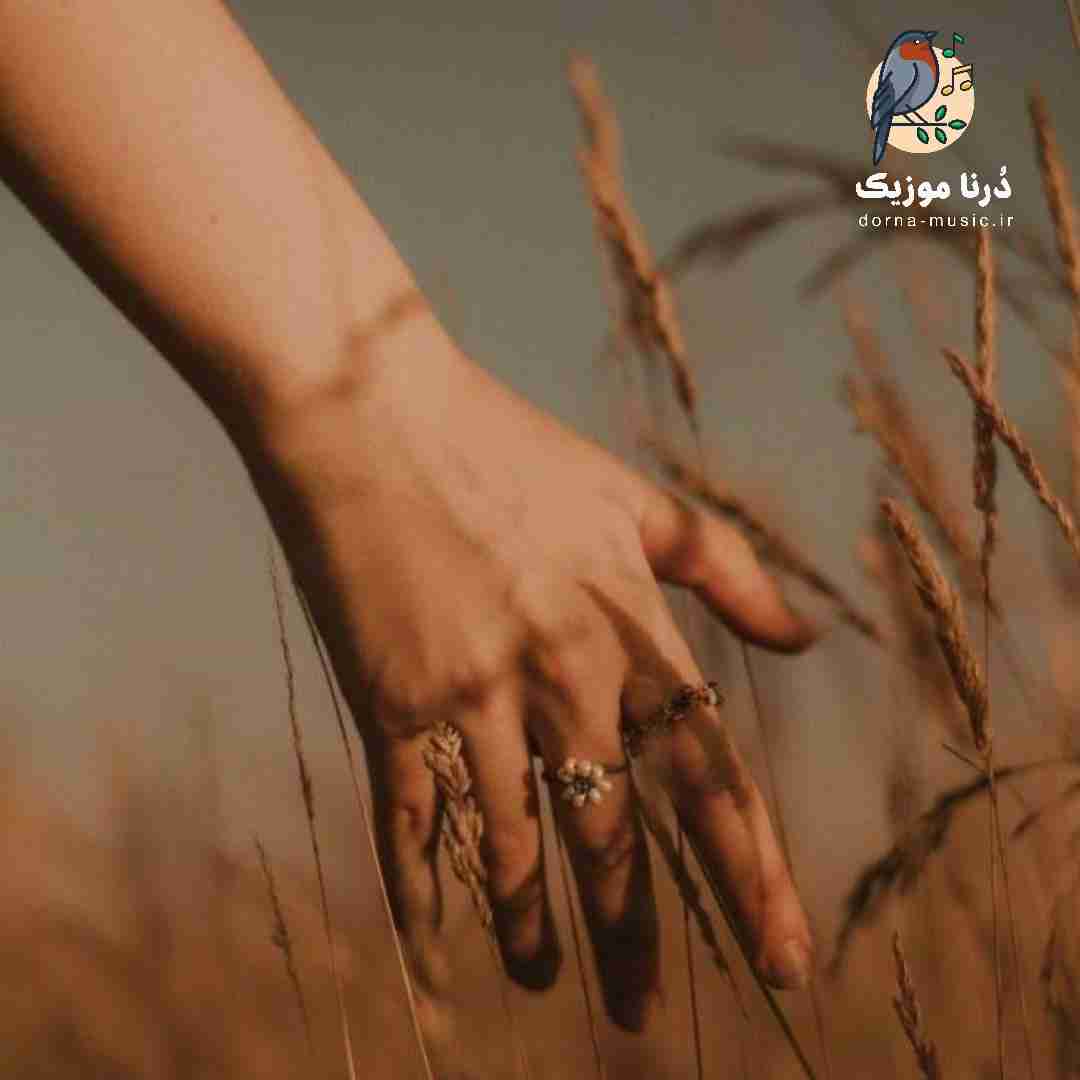  رضا اف ال ایران ۲