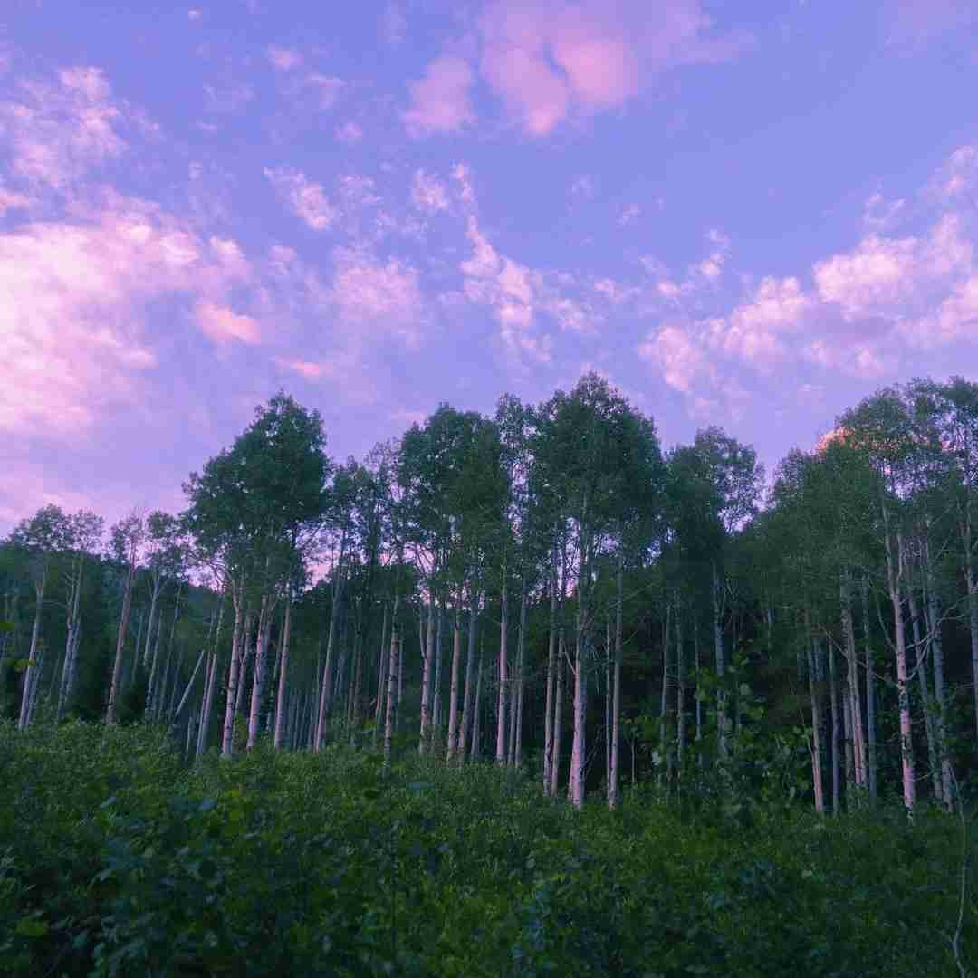  بابای من بعد بیست سال سر من داد نزده - ترند