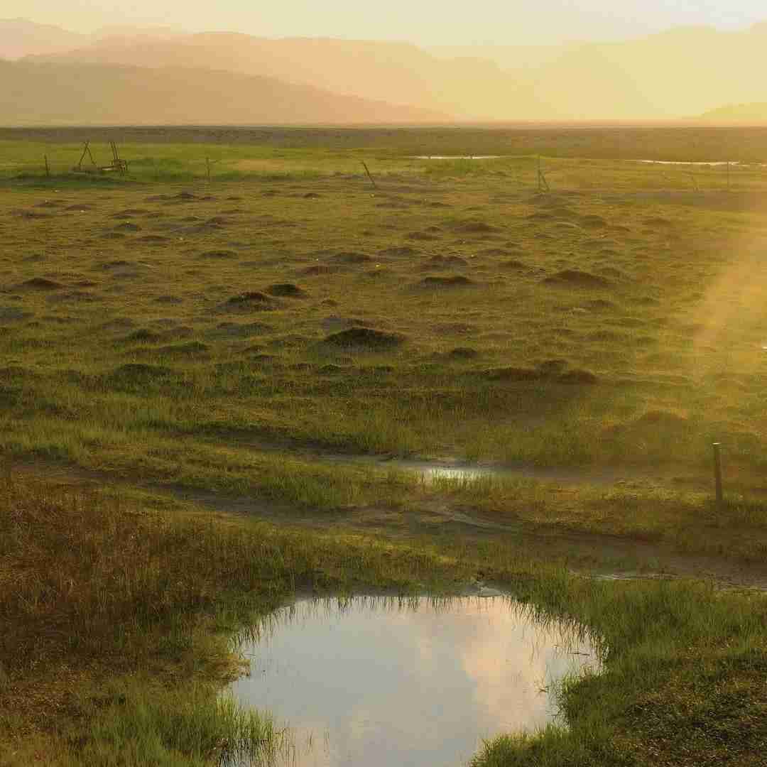  اصلا زمونه میخواد کسی نمونه باهام هوش مصنوعی