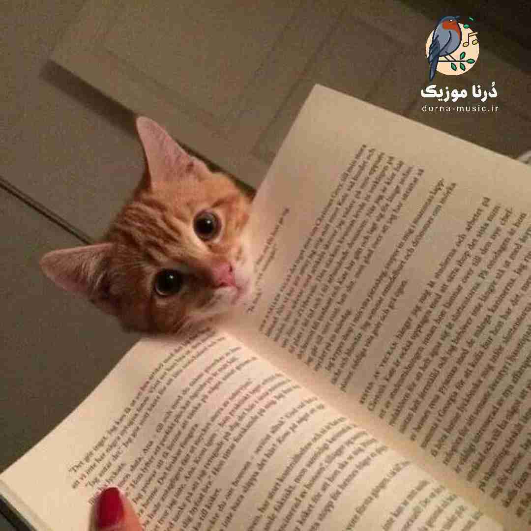  منم تک نامبر ستاره رپ شهر عاشق و مغرورم