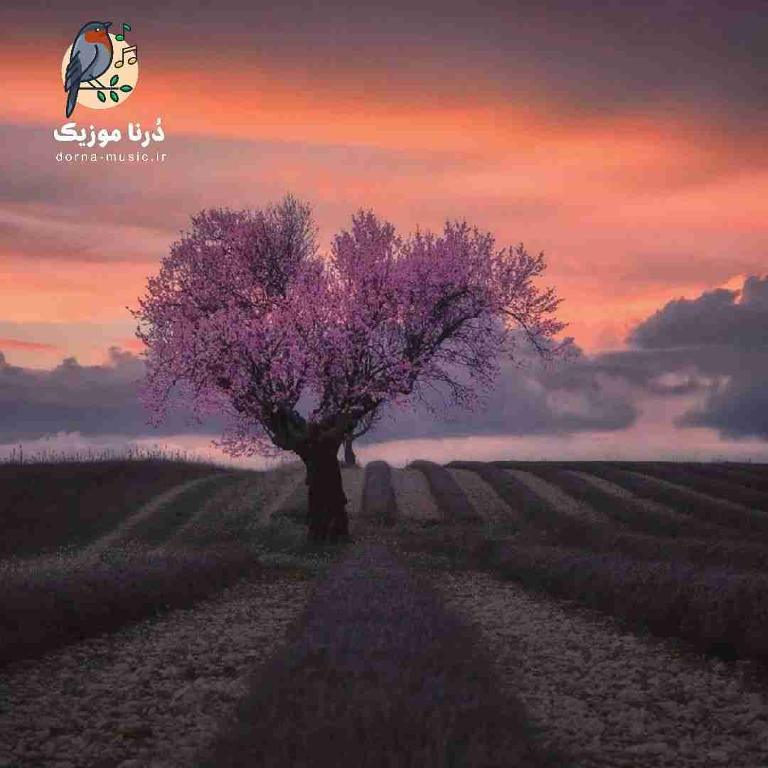  دلم گرفته نمیخوام آواز بخونم هوش مصنوعی