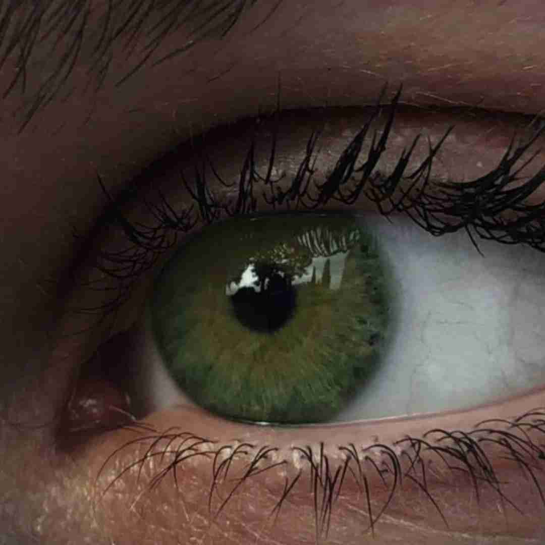  واتساپ بلاد واسابی چشما داف سبز تر از واسابی