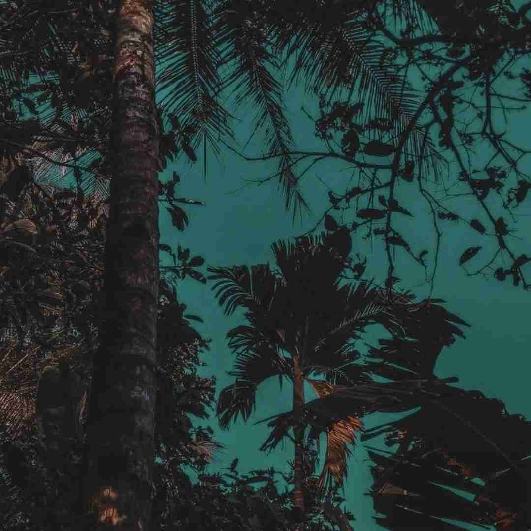  ده وای ده ده که‌ م په‌ ری بو ناپرسی