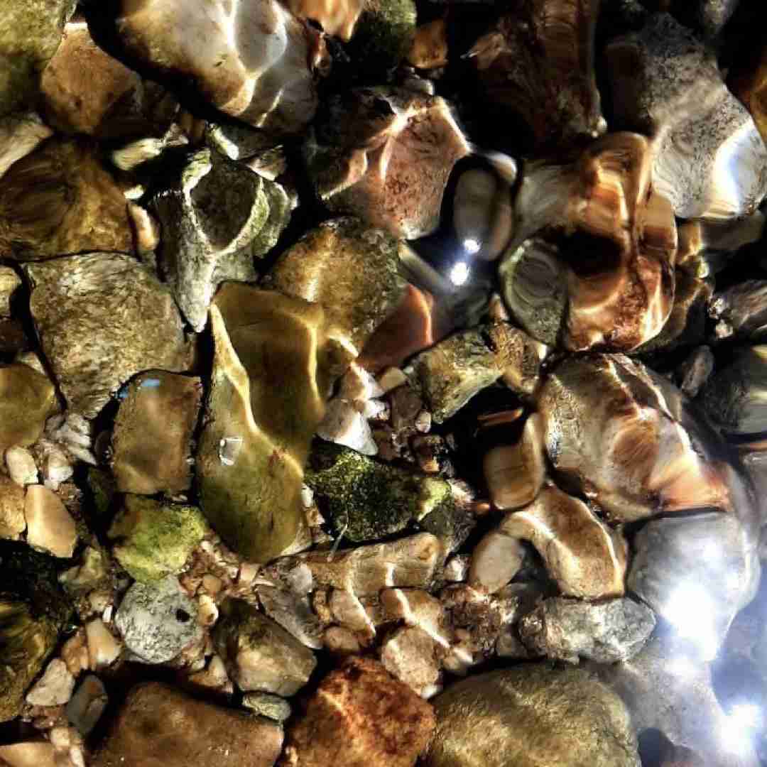  نفر رپ کنه رپ کنه هرچی ما هم گاهی وقتی