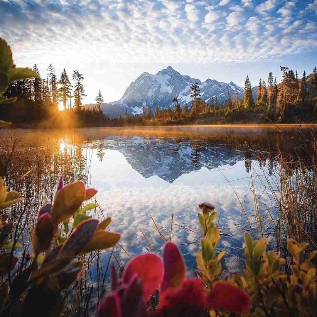  جوجه رپرای زمان بازم کلان اسمو رسم دار
