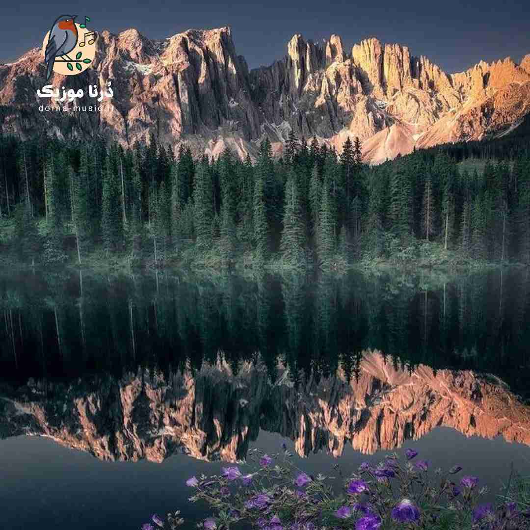  زیدمو اون وسط من لای دستو پا دیدم