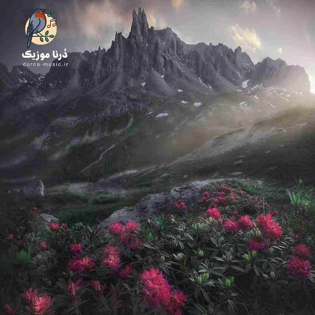 دشی تو سگ کی بنده منو خدا ولم کرد