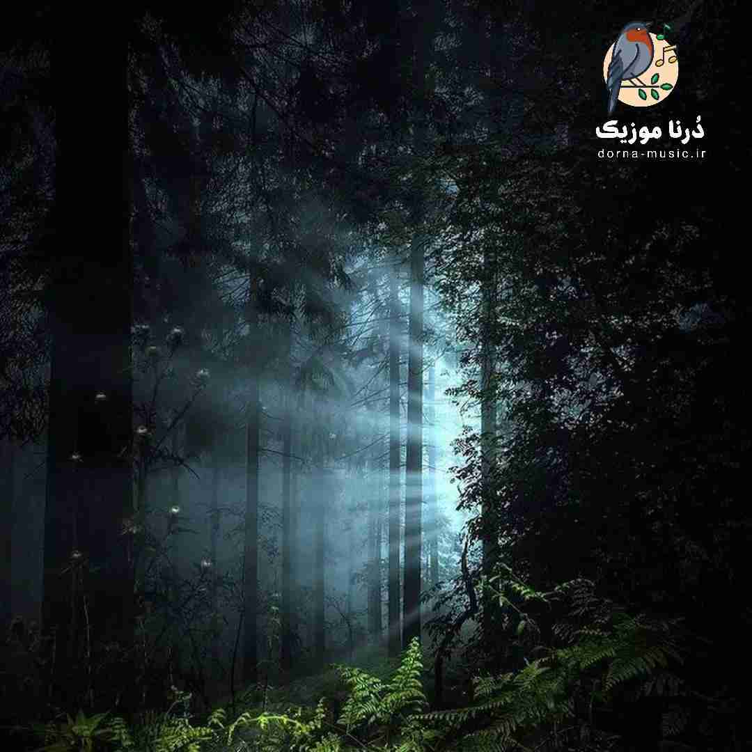  بیارید برانکارد از الان مست تا چهار بامداد (ترند)