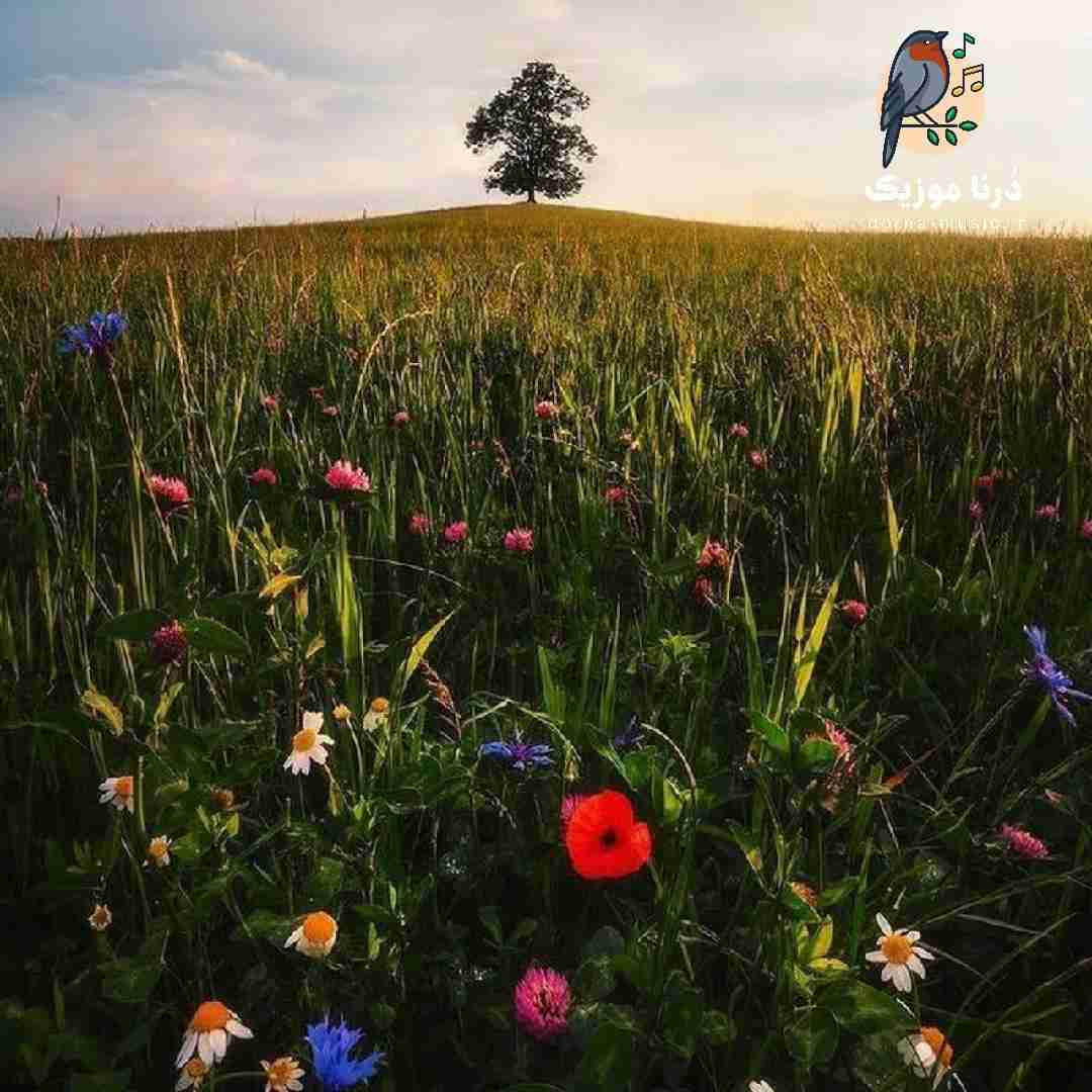  ماشینم بیمه نیست بخونید دعا با صدای پسر