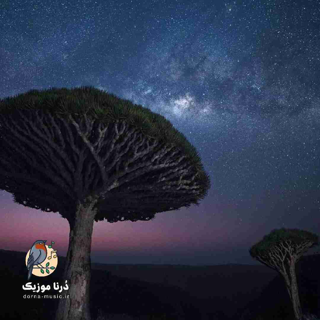 اسمش نمیدونم عقدس یا چی کمد کمد لباس میخوام