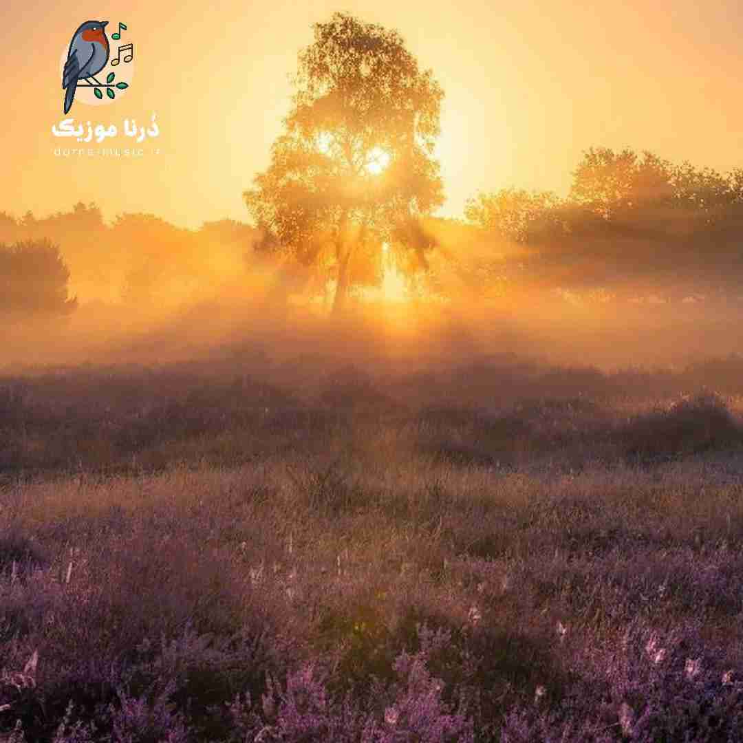  تو در و دیوار هرچیو پرت نمیکردم تو اگه دوسم ‌داشتی