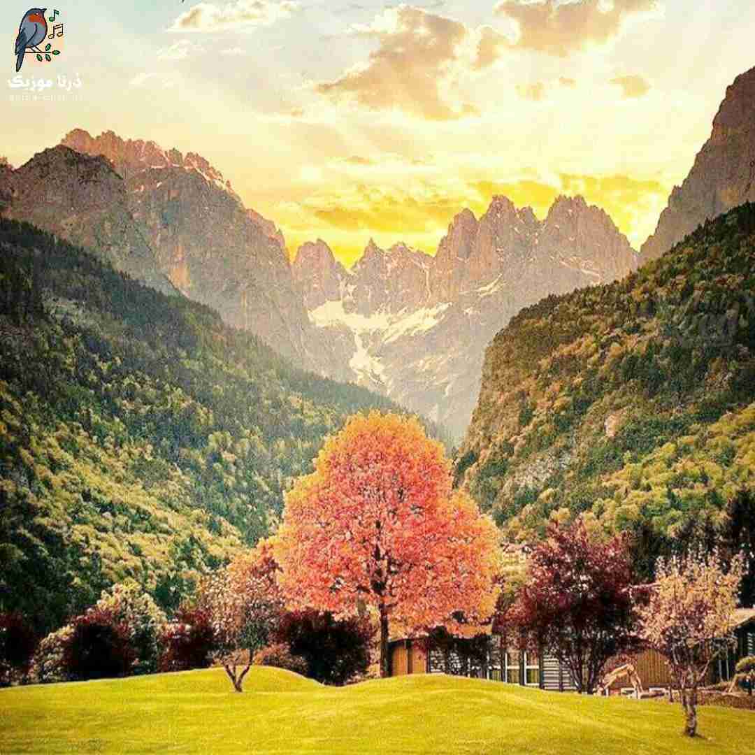 دشی آی غریبه