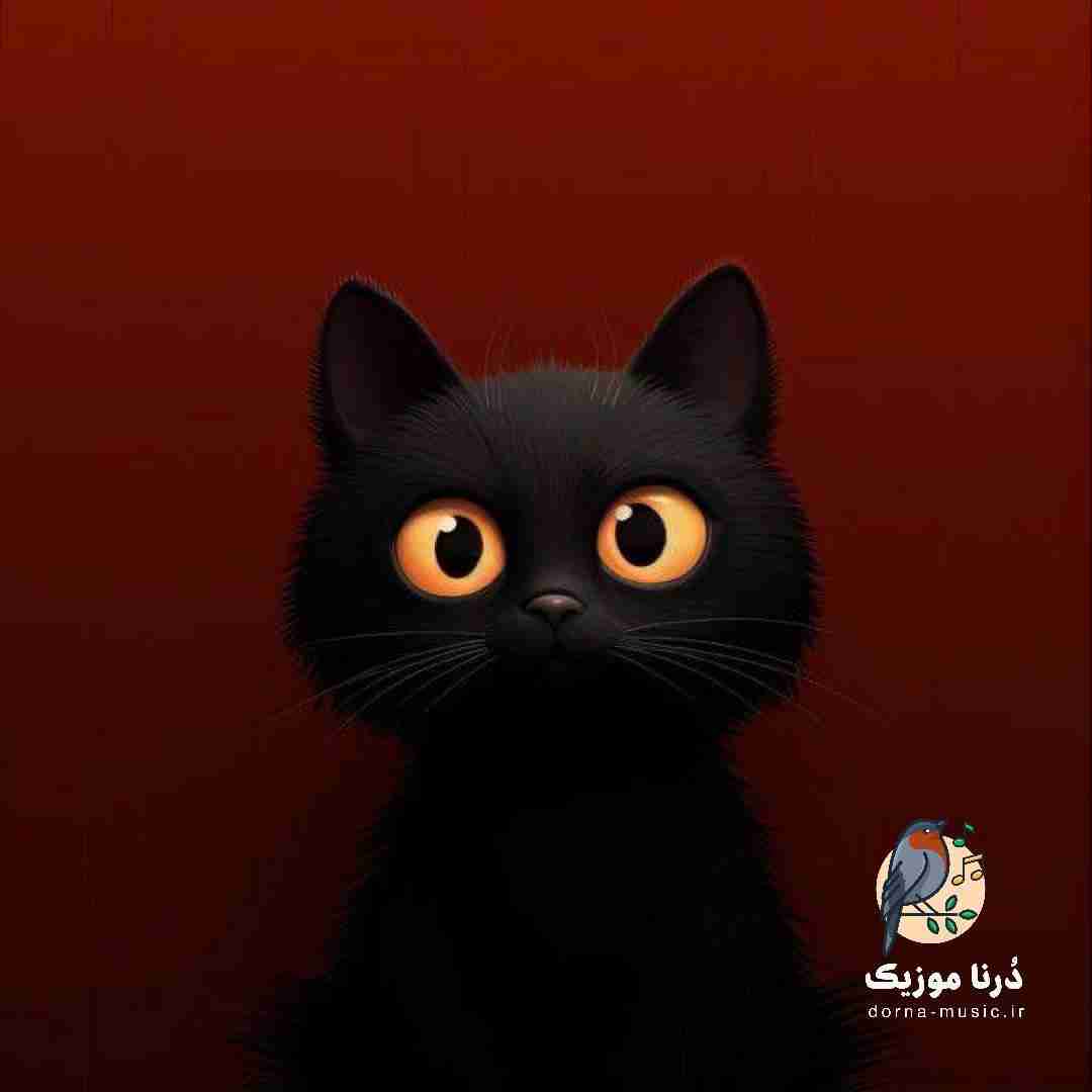 دشی شب بمون