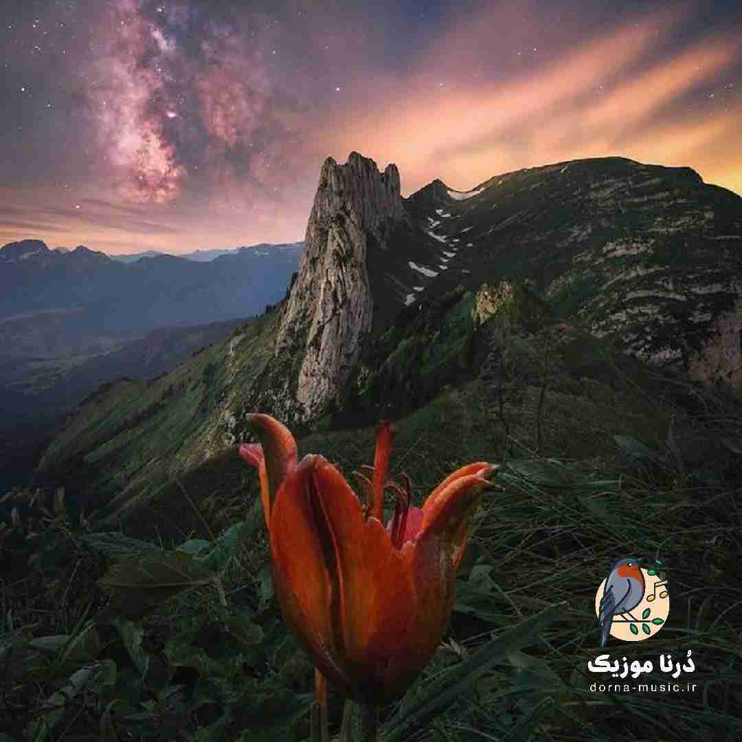  حایاتم کوکلا کوکلا (عزیزم آرام باش ورژن آلمانی)
