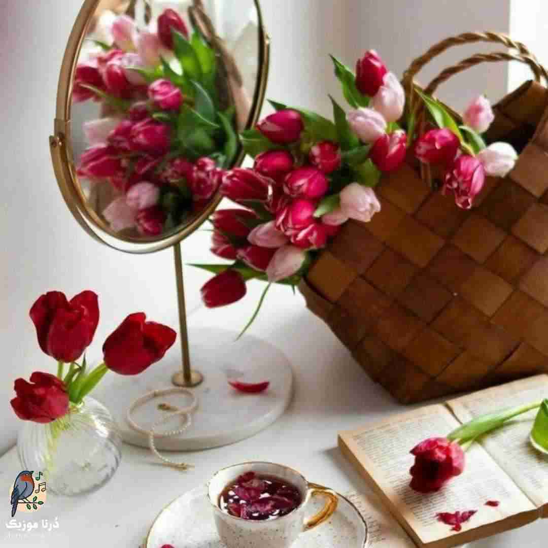 فاطمه عطایی دنیا وسه بمیر بمیر نعیبو
