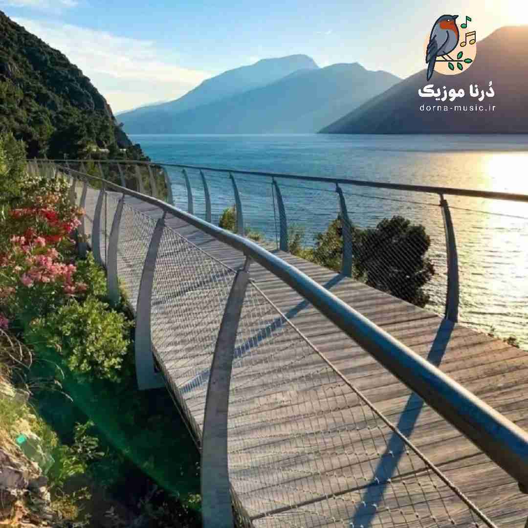 دشی رگ و ریشه