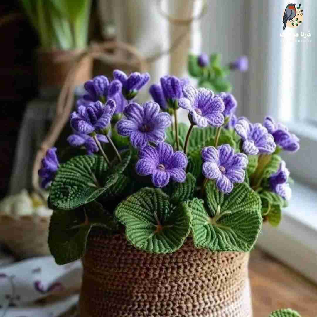 فاطمه عطایی با زبون بی زبونی گمه آروم جونی