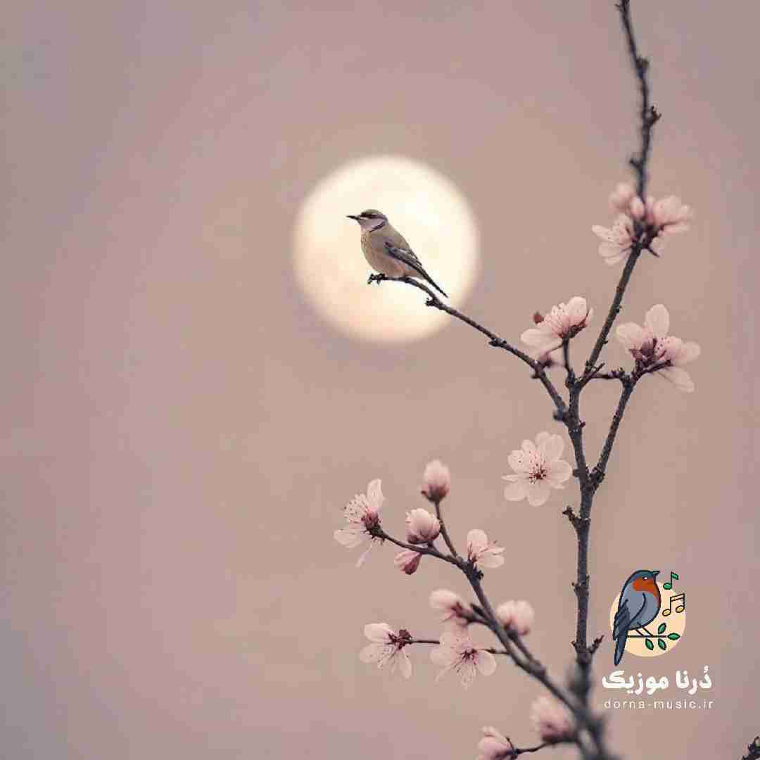 تا ته آسمانم ستاره ی با نشانم با صدای دختر