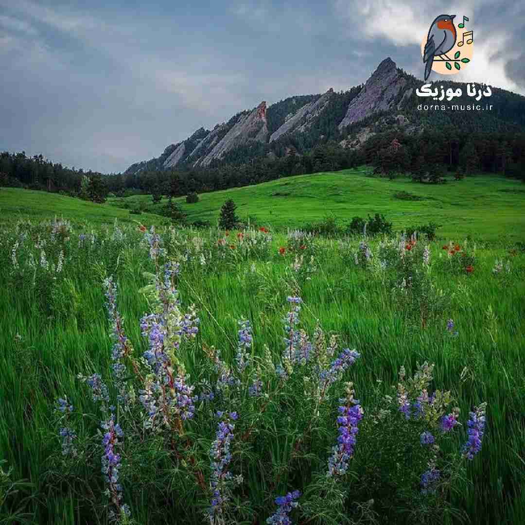 نشد آشناییمون به سال بکشه (میکس اینستایی)