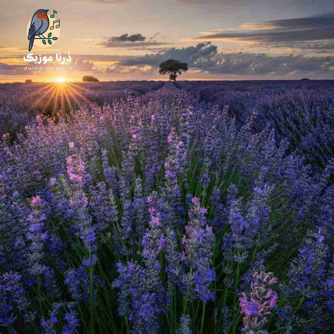  کارام هاید امیری خز نایک امیری بکوب لایک امیری