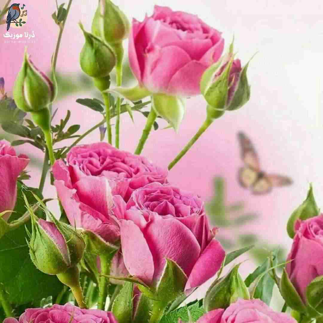 دشی مگه میتونه منو از یادت بره عمرا اگه تو بغلش خوابت ببره