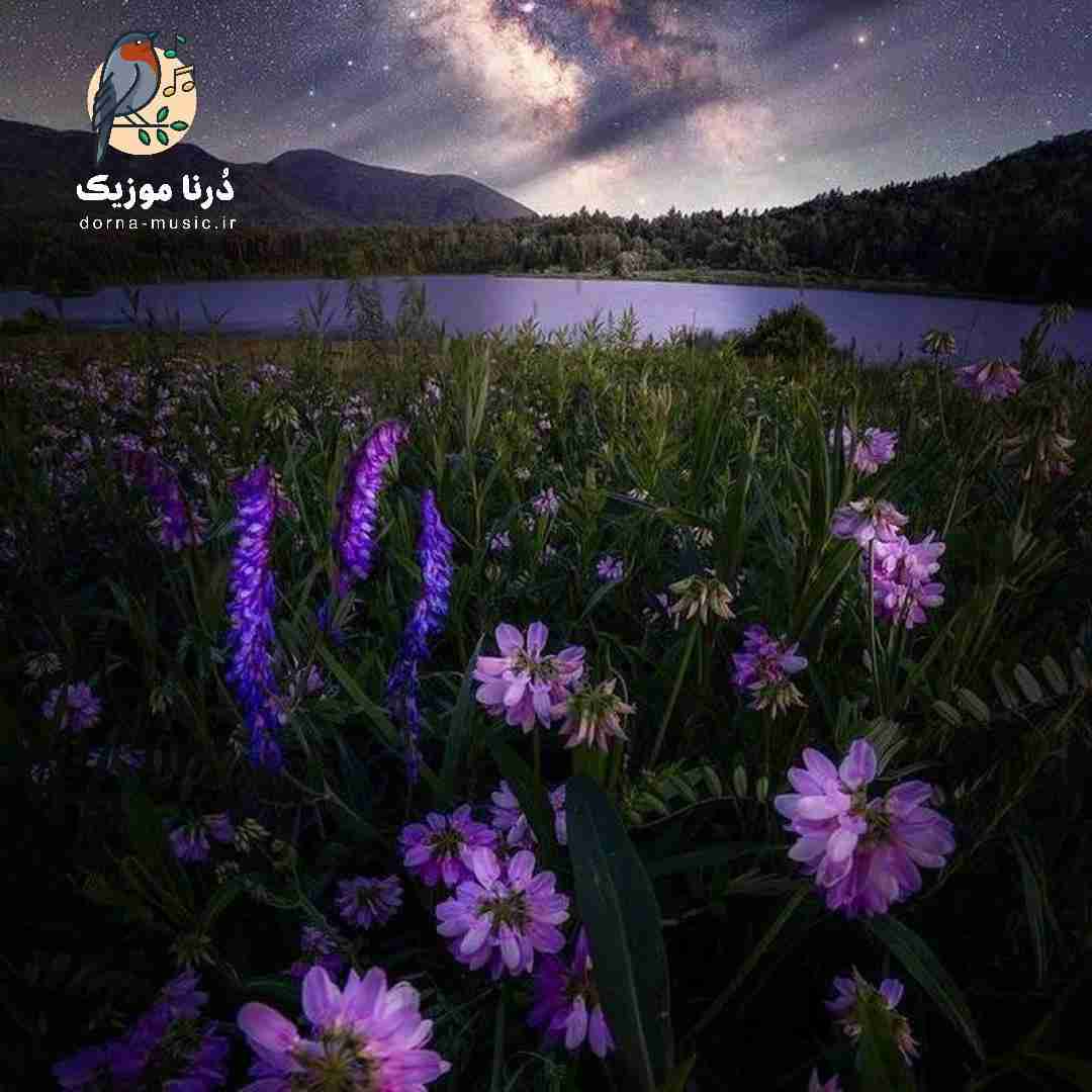  آخه تو من بهم ریخته رو جمع میکردی تو با همه فرق